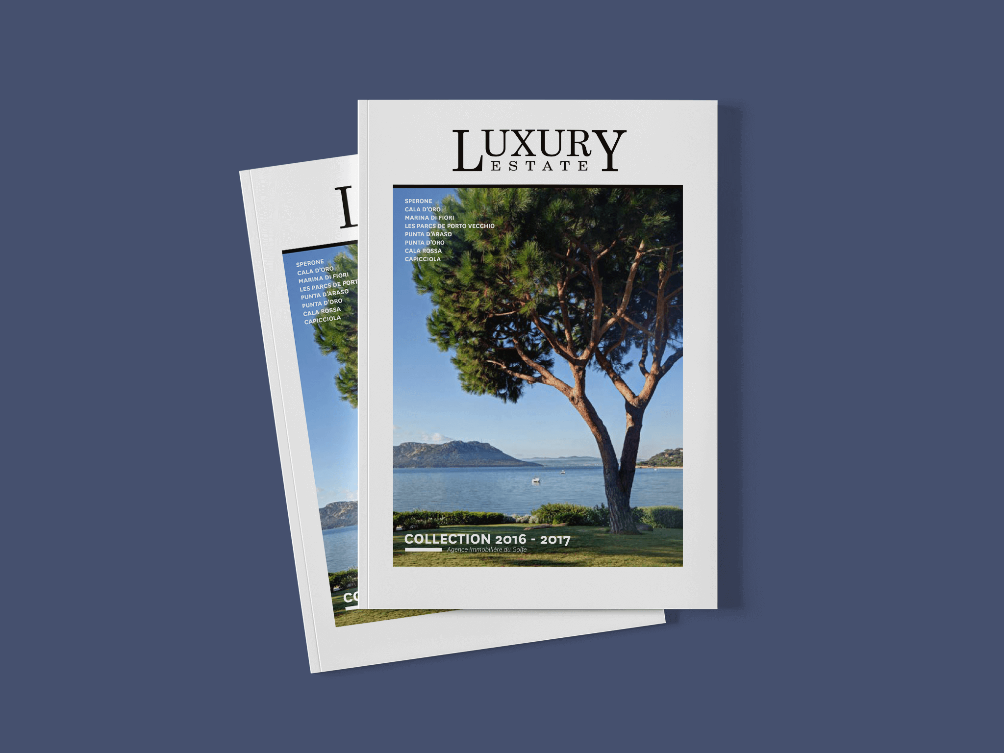 Luxury Estate N°6 2016-2017