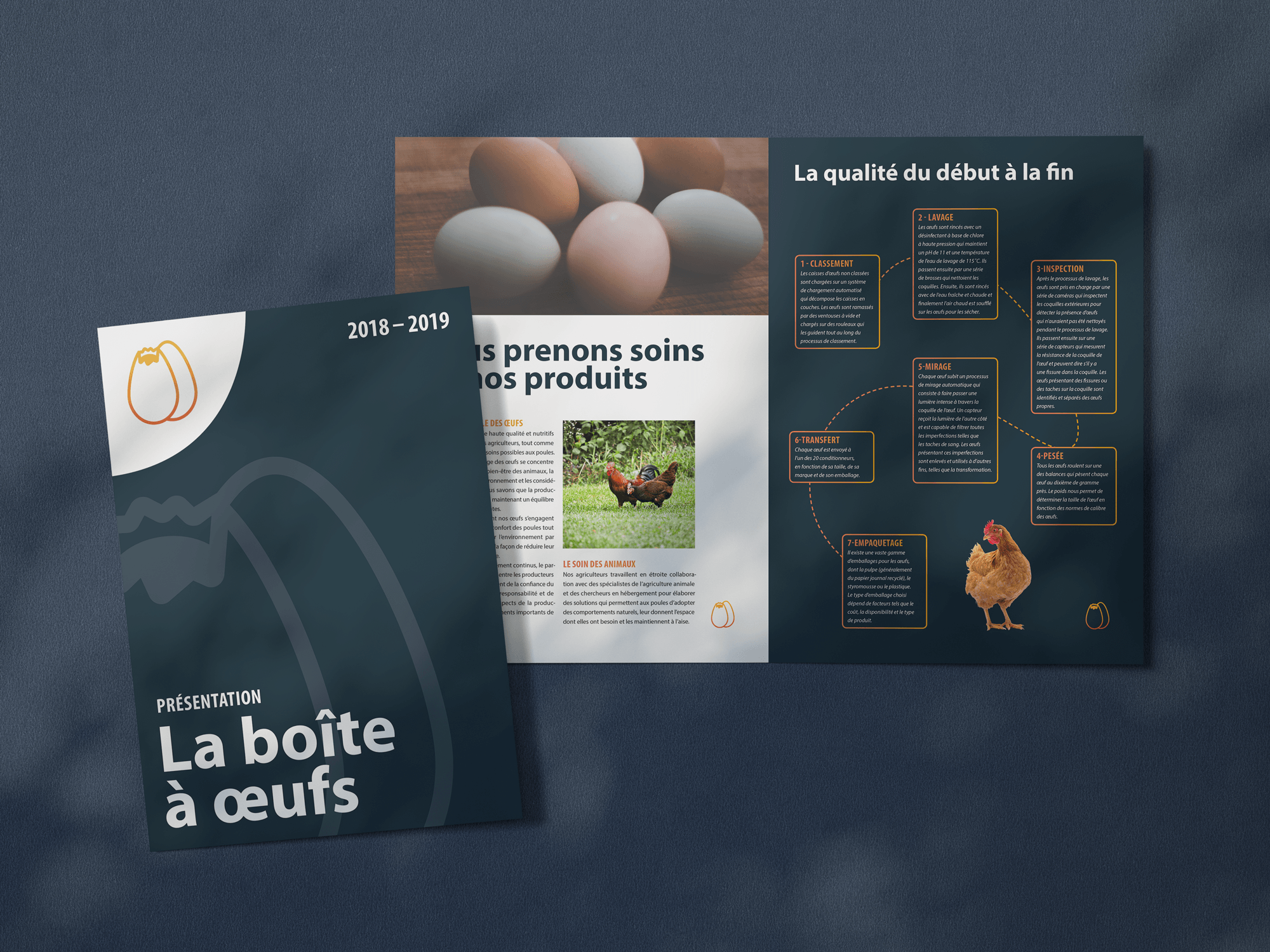 Tutoriel InDesign pour les débutants